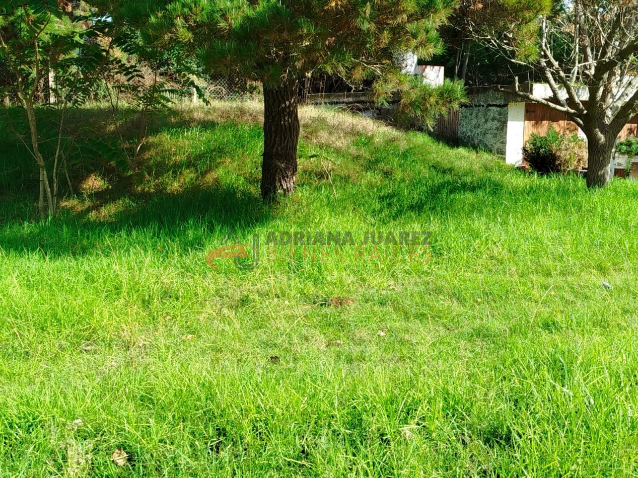 Terreno Unifamiliar en Mar de Ostende - Pinamar